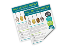 Full Color Flyers