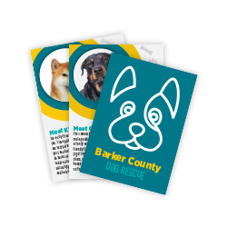 Trading Cards